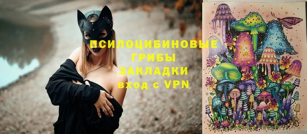 PSILOCYBIN Абаза