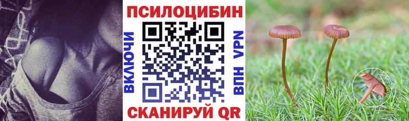 где можно купить наркотик  Сусуман  Псилоцибиновые грибы прущие грибы 